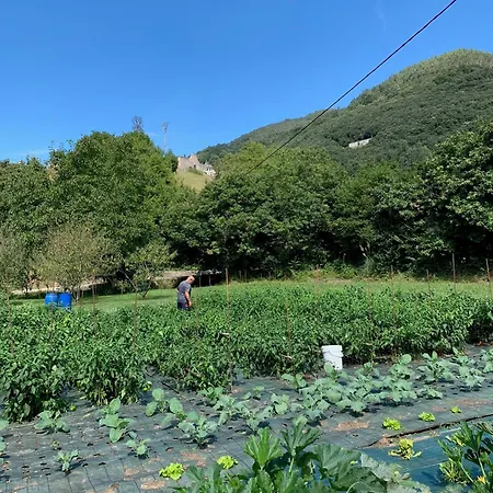 度假居 Casa Pepa *