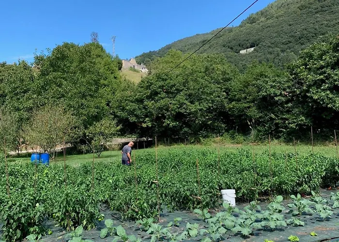 Nyaraló Casa Pepa *